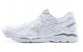 Asics Gel-Kayano 23