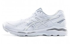 Asics Gel-Kayano 23