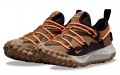 Nike ACG Mountain Fly Low GTX SE