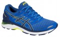 Asics GT-3000 5