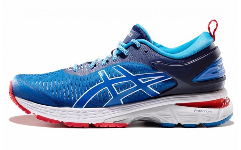 Asics Gel-Kayano 25