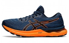 Asics GEL-Nimbus 24