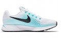 Nike Air Zoom Pegasus 34