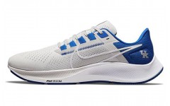 Nike TOTO College Air Zoom Pegasus 38 "Kentucky"