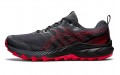 Asics Gel-Trabuco 9