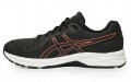 Asics Raiden 2