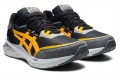 Asics Tarther Blast