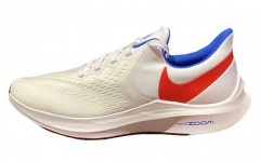 Nike Zoom Winflo 6