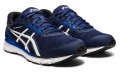 Asics Gel-Windhawk 3