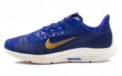 Nike Pegasus 36 PRM