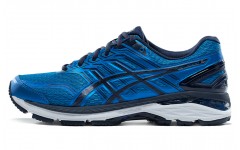 Asics GT-2000 5