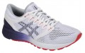 Asics Roadhawk FF 2