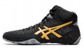 Asics Dan Gable Evo 2