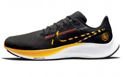 Nike Pegasus 38 Blue Ribbon Sports