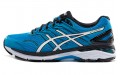 Asics GT-2000 5 (2E)