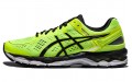 Asics Gel-Kayano 22