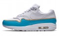 Nike Air Max 1 SE