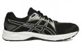 Asics Raiden 2