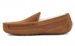 UGG Ascot Corduroy II