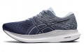 Asics EvoRide 2