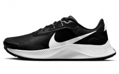 Nike Pegasus Trail 3