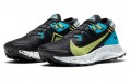 Nike Pegasus Trail 2