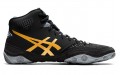 Asics Dan Gable Evo 2