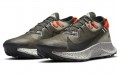 Nike Pegasus Trail 2