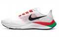 Nike Pegasus 37 Eliud Kipchoge