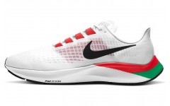 Nike Pegasus 37 Eliud Kipchoge