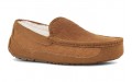 UGG Ascot Corduroy II