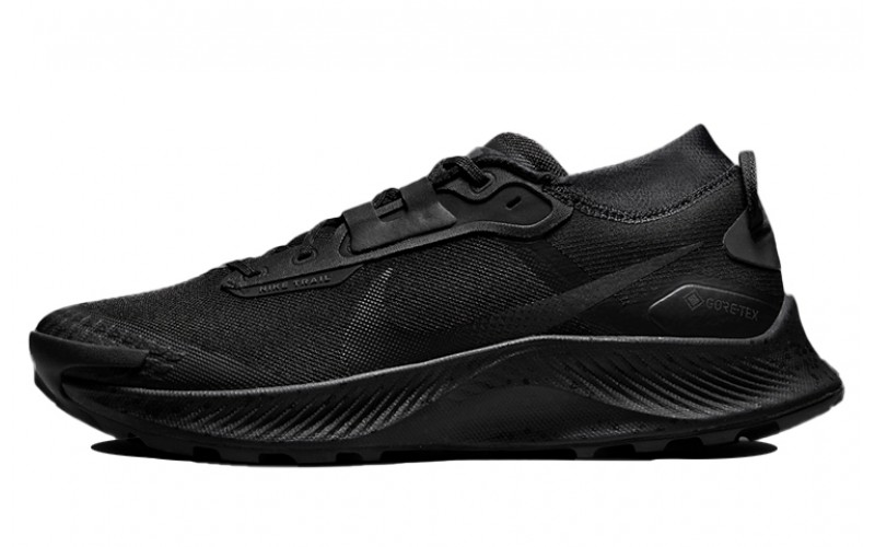 Nike Pegasus Trail 3 gore-tex "black"