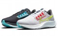 Nike Pegasus 38 Limited Edition