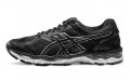 Asics Gel Surveyor 5