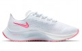 Nike Pegasus 37 VT