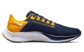 Nike Pegasus 38 "West Virginia"