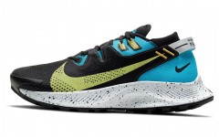 Nike Pegasus Trail 2