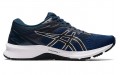 Asics GT-1000 10 4E