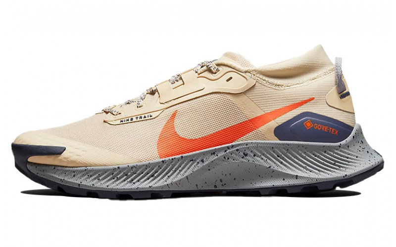 Nike Zoom Pegasus Trail 3 GTX