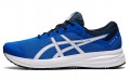 Asics Patriot 12