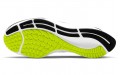 Nike Pegasus 37