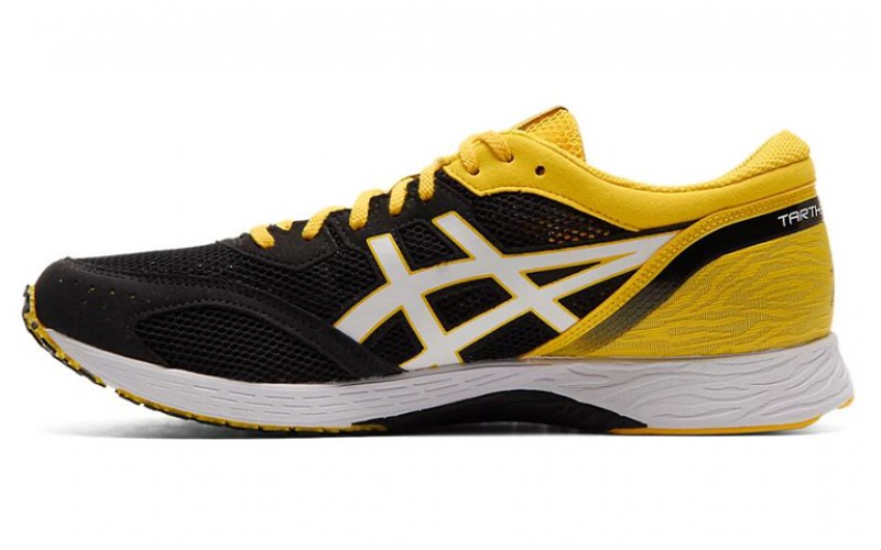 Asics Tartheredge 2E