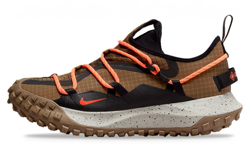 Nike ACG Mountain Fly Low GTX SE