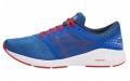 Asics Roadhawk Ff