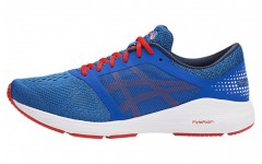 Asics Roadhawk Ff