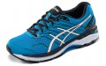 Asics GT-2000 5 (2E)