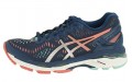 Asics Gel-Kayano 23