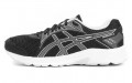 Asics Raiden 2