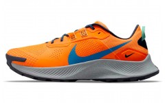 Nike Pegasus Trail 3