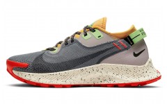 Nike Pegasus Trail 2 GTX